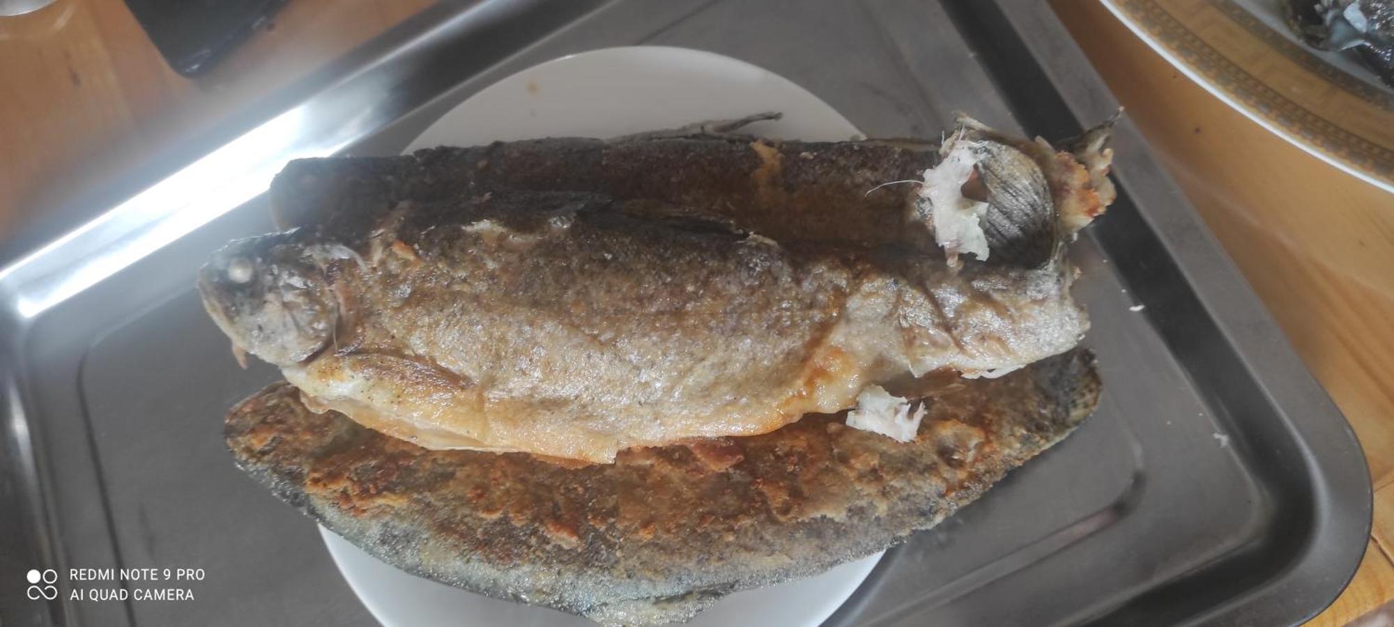 Kolsay Aisha Otel Saty Dış mekan fotoğraf